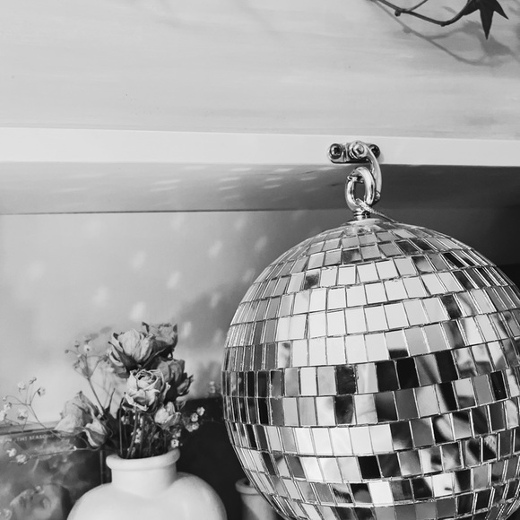 Meet your Posher, Sage - Picture 2 of 12